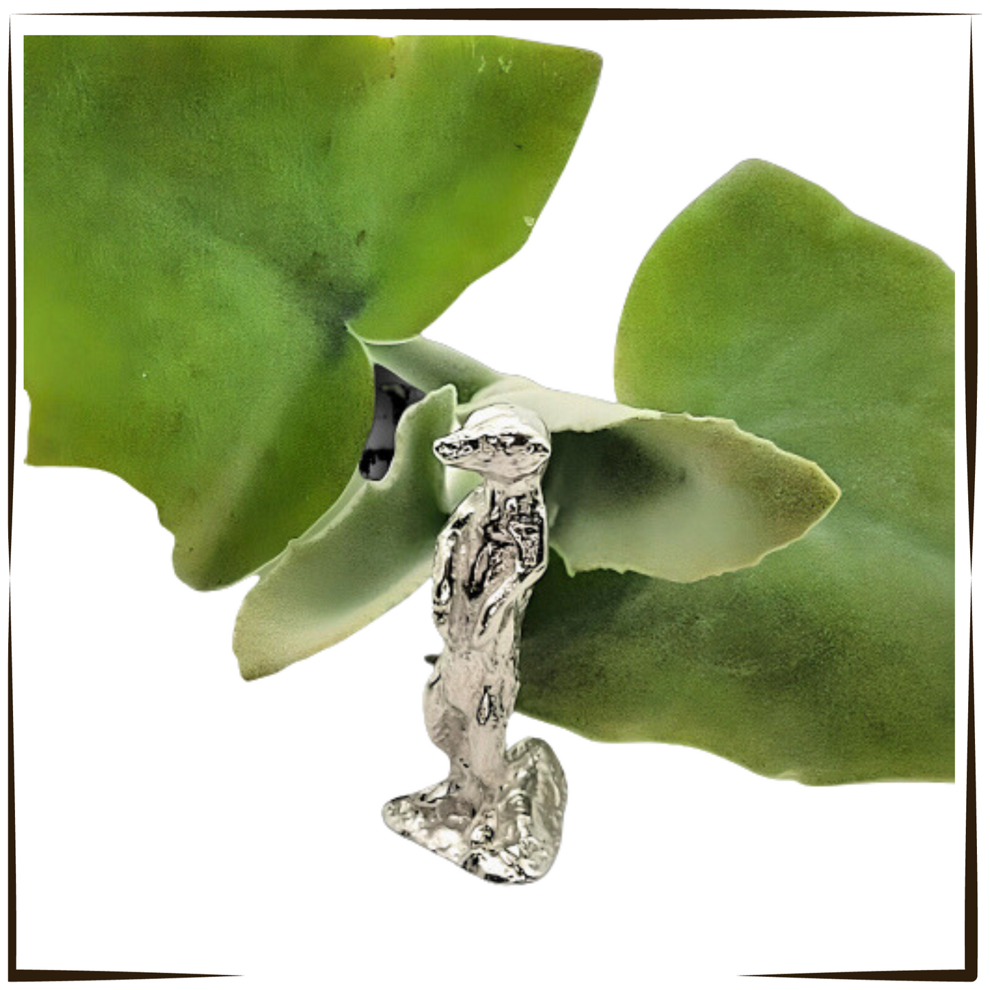 Pewter - Curios Meercat - Timone