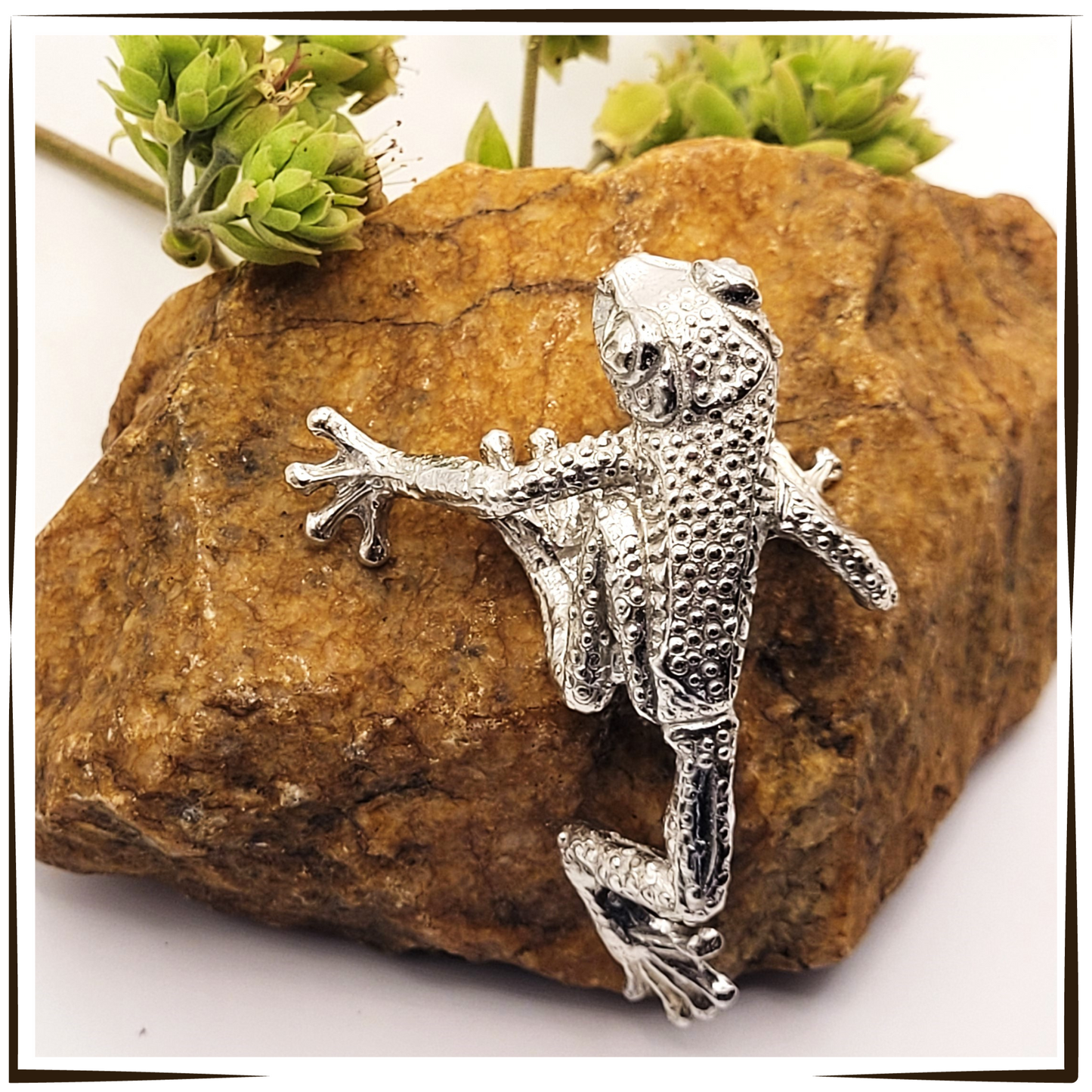 African Pewter - Climbing Tree Frog Floyd