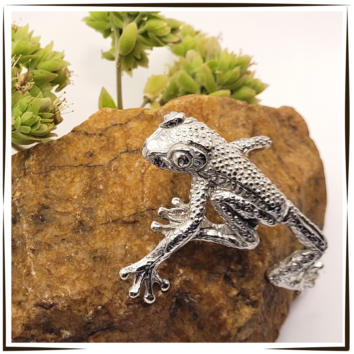 African Pewter - Climbing Tree Frog Floyd