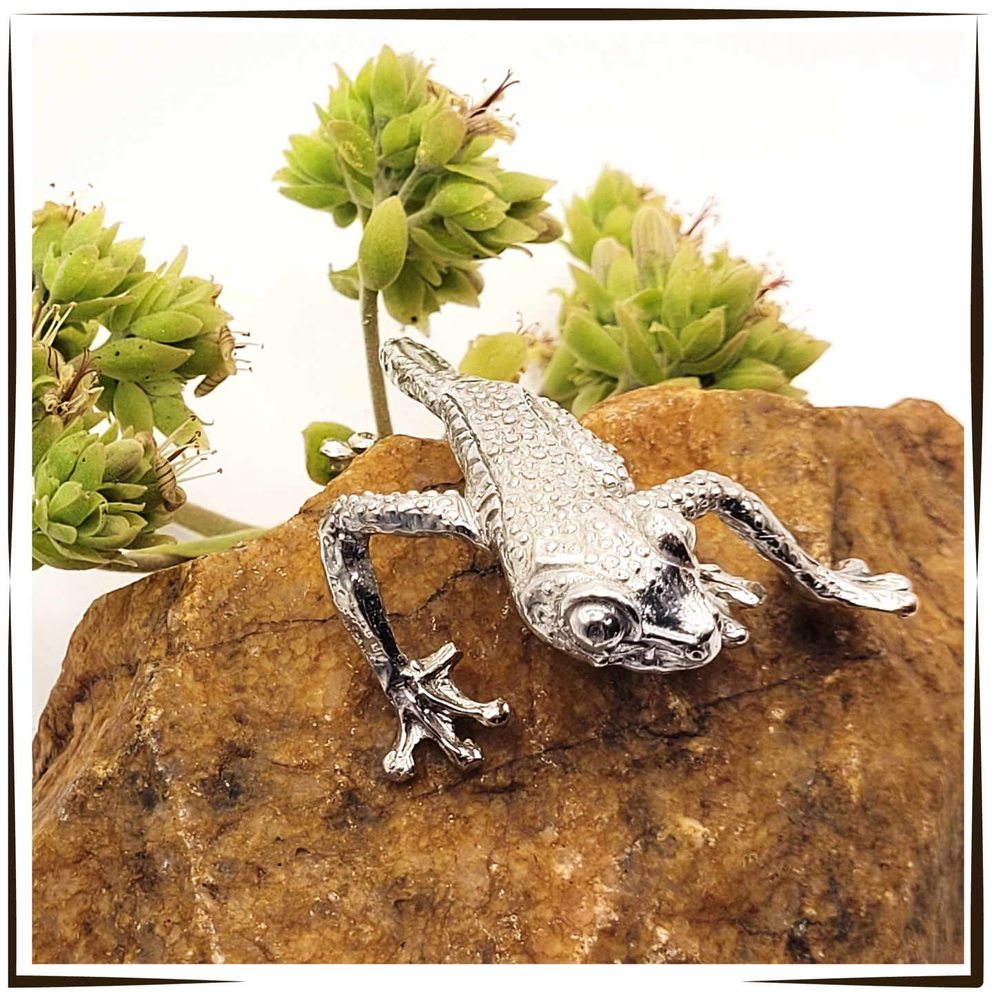 African Pewter - Climbing Tree Frog Floyd