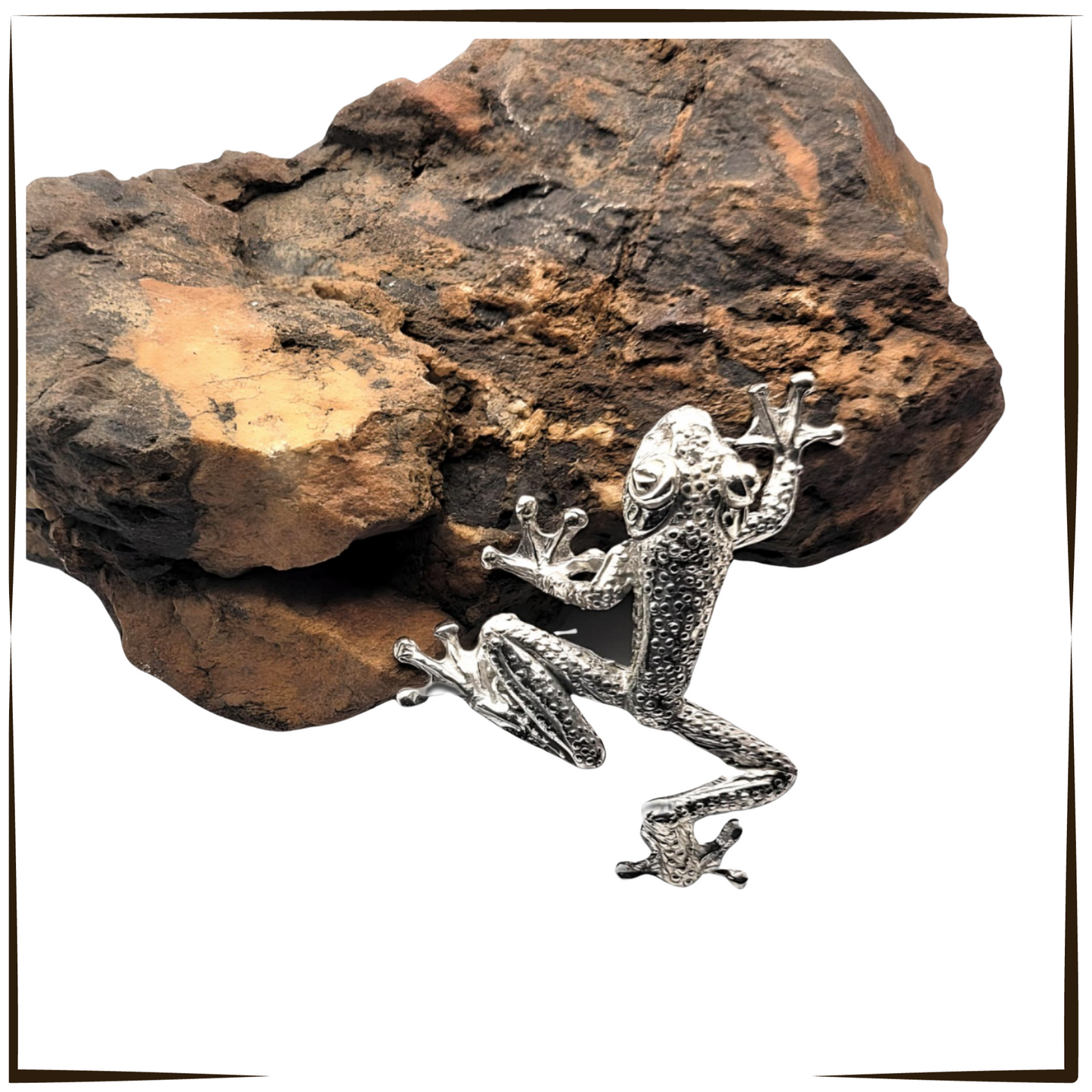 African Pewter - Climbing Tree Frog Floyd