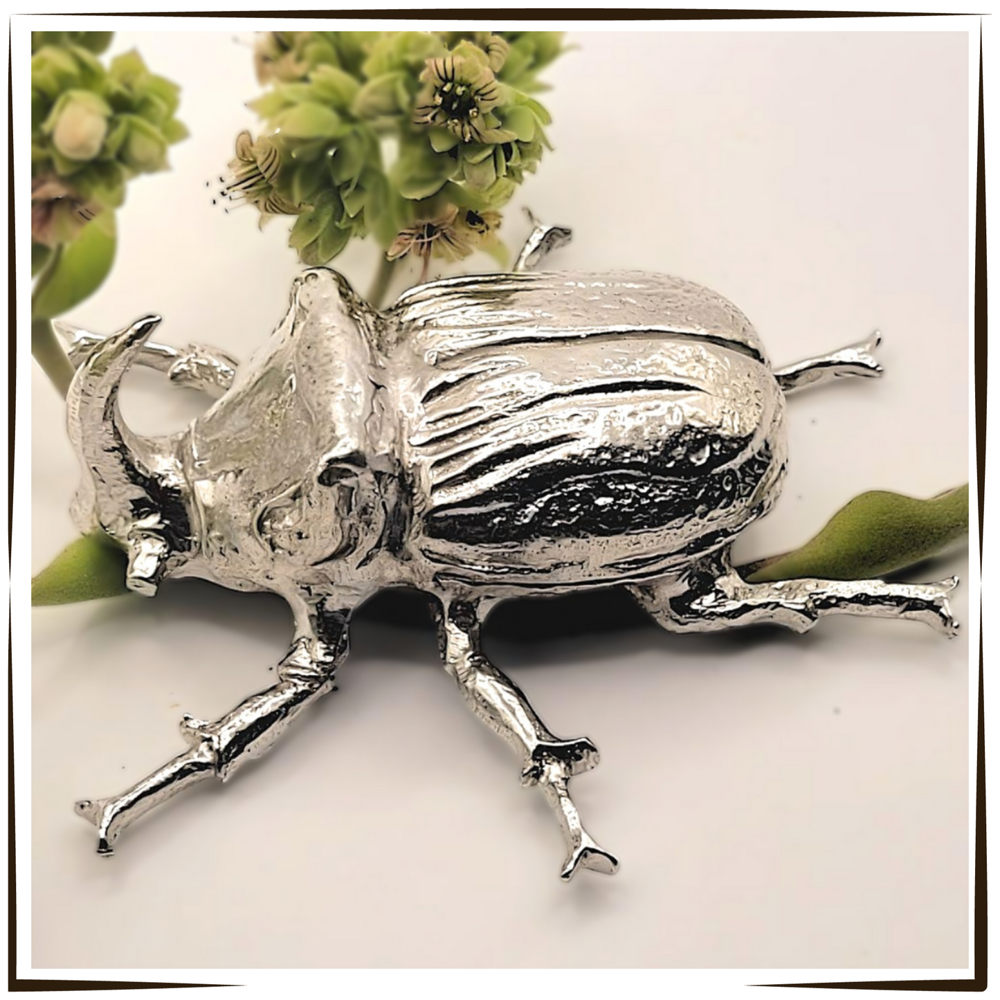 African Pewter - Rhino Beetle Hercules