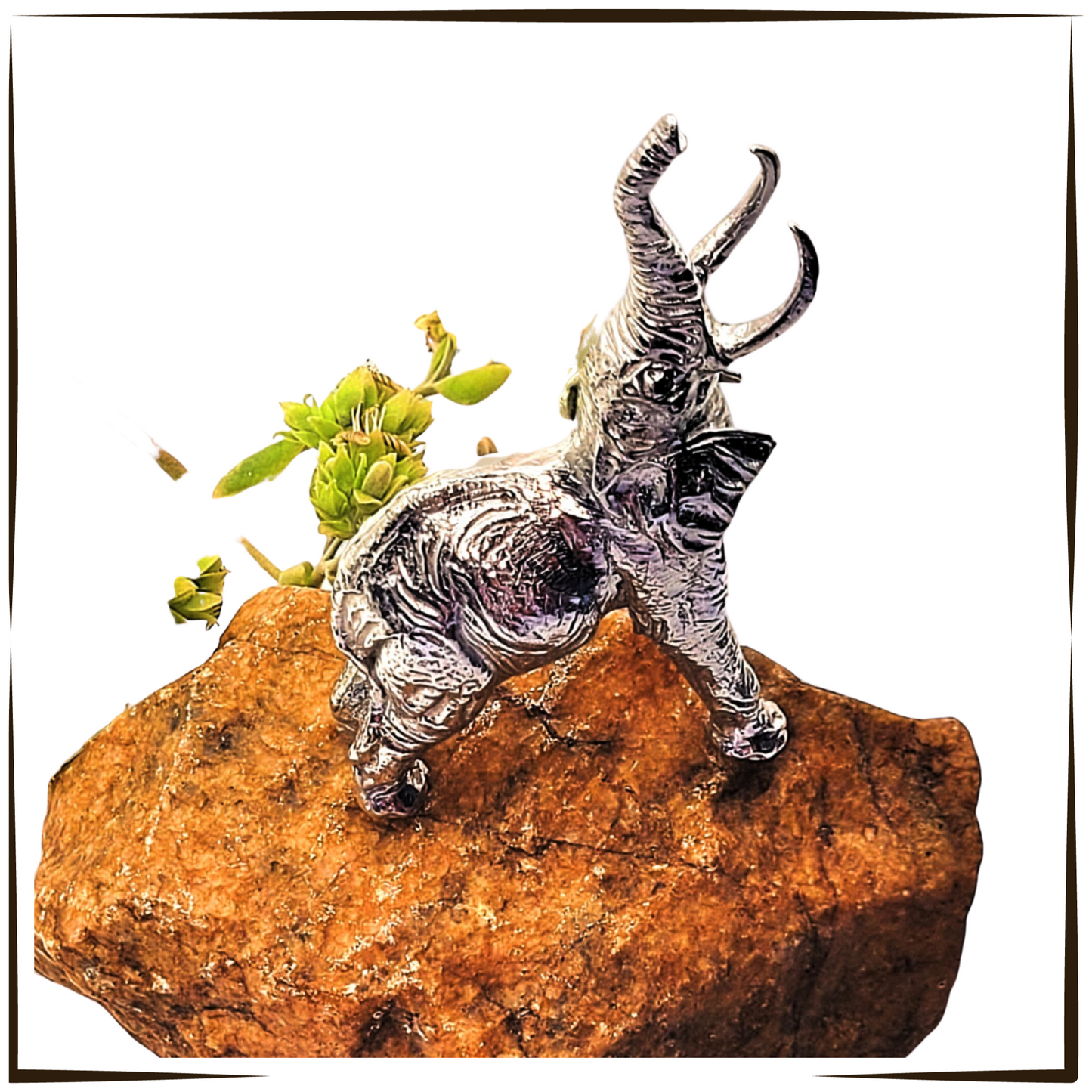 Pewter - Stunning Wildlife Combo