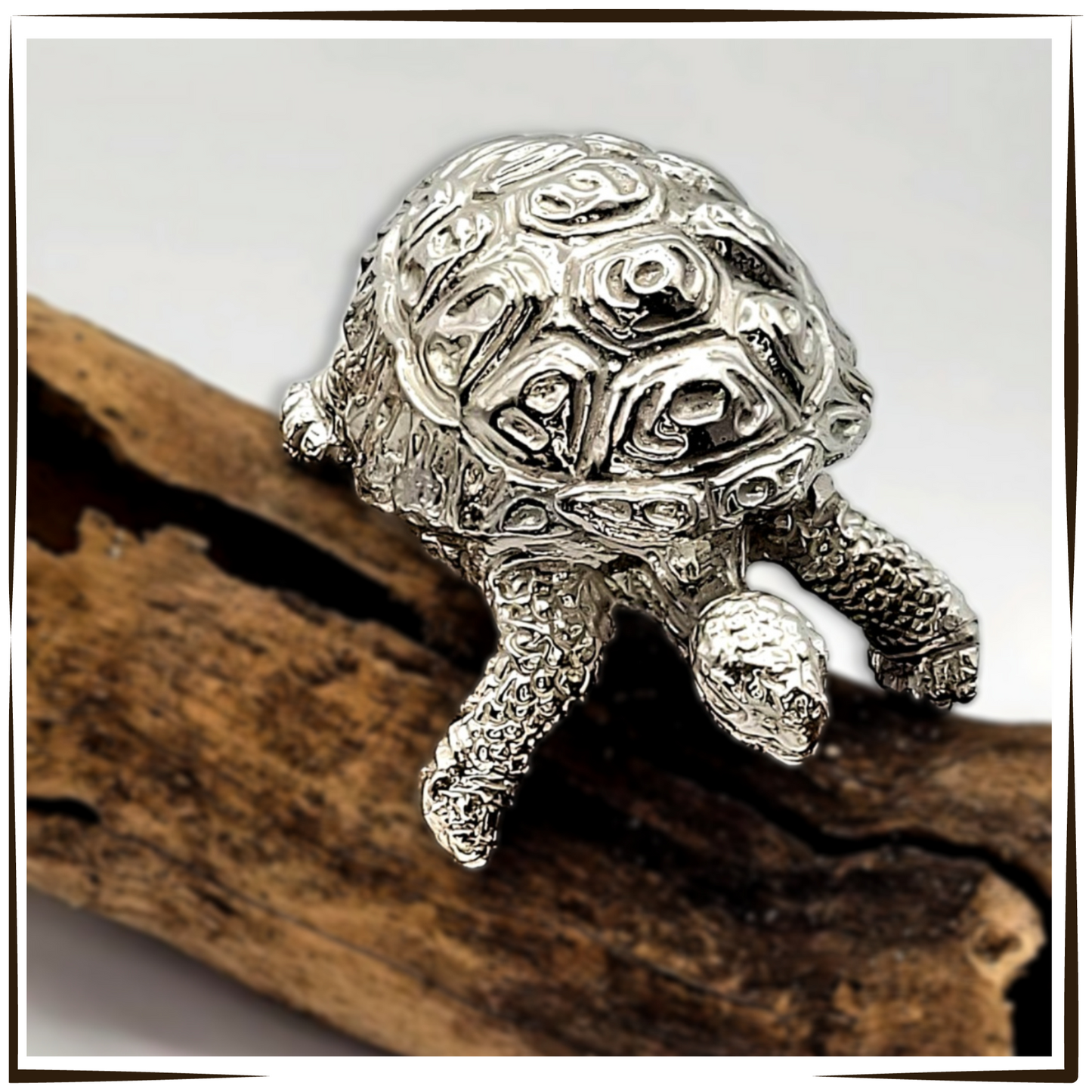 Pewter - Amazing Little Five - Combo