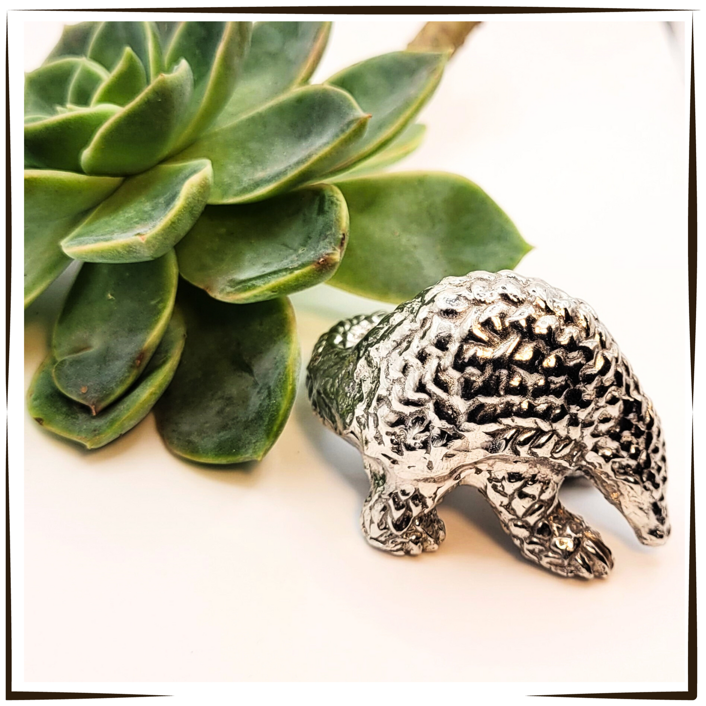 Pewter - Stunning Wildlife Combo