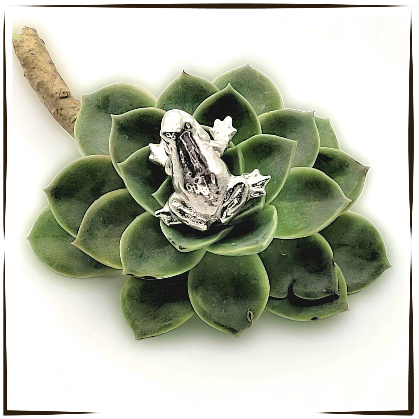 Pewter - Adorable Tree Frog Trio