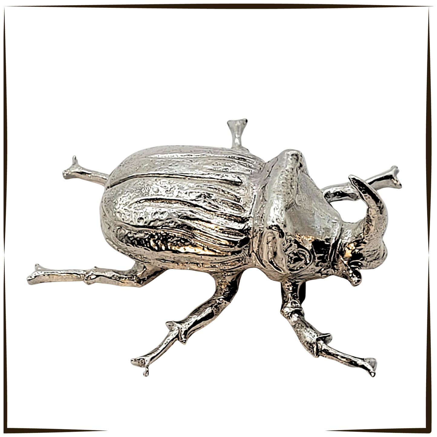 Pewter - Striking Rhino Beetle - Hercules (One Of The Small Five)