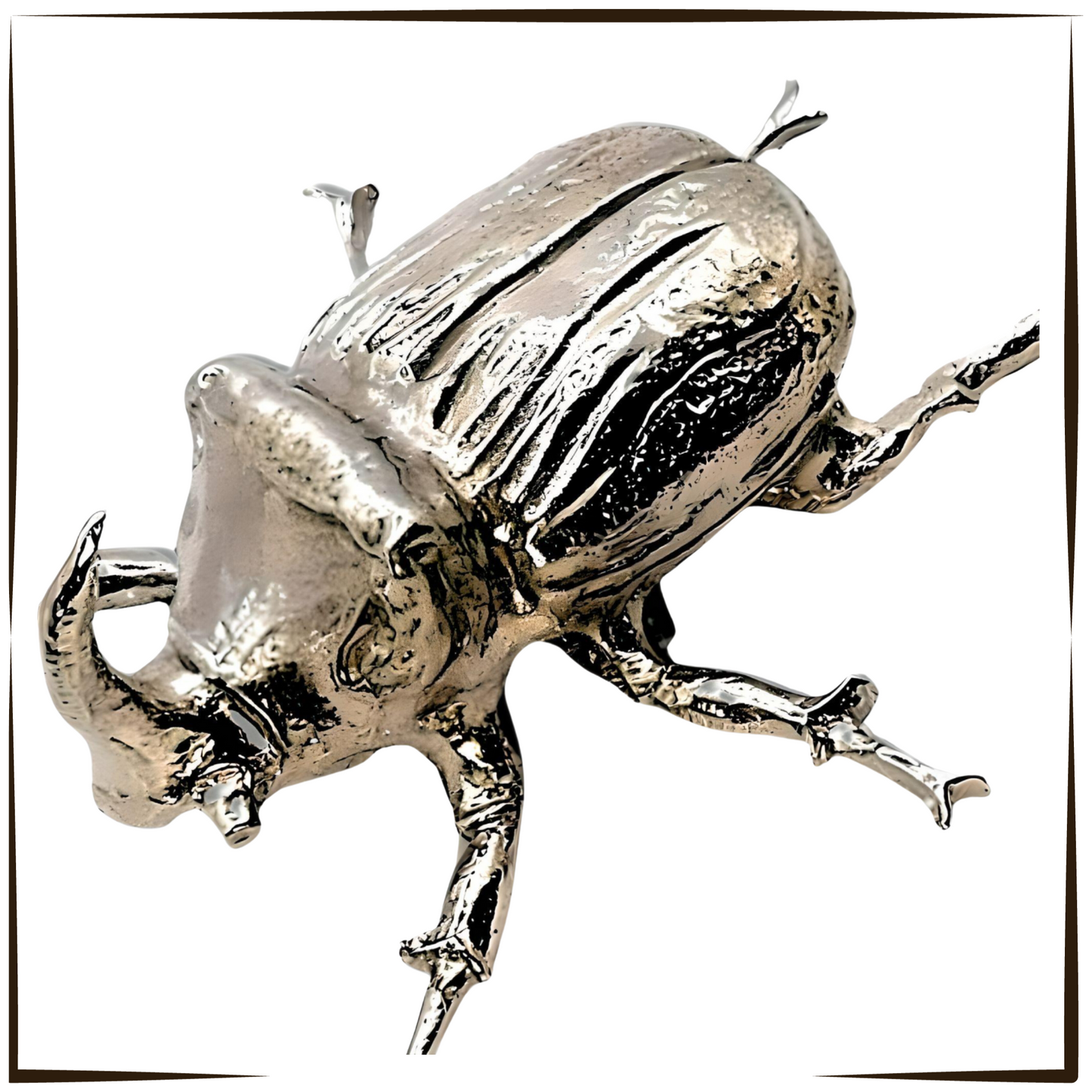 Pewter - Striking Rhino Beetle -  Hercules (One Of The Small Five)