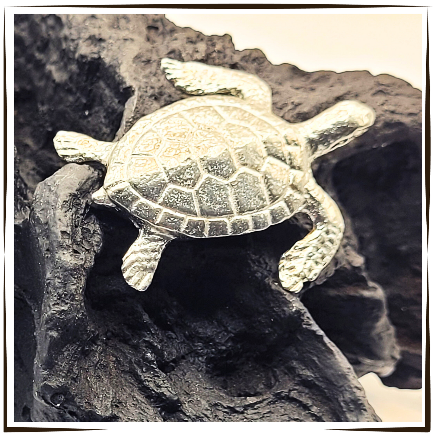 Pewter - Brave Hawksbill Sea Turtle - Amber