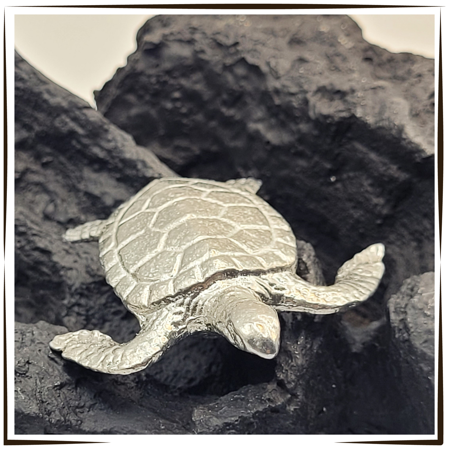 Pewter - Brave Hawksbill Sea Turtle - Amber