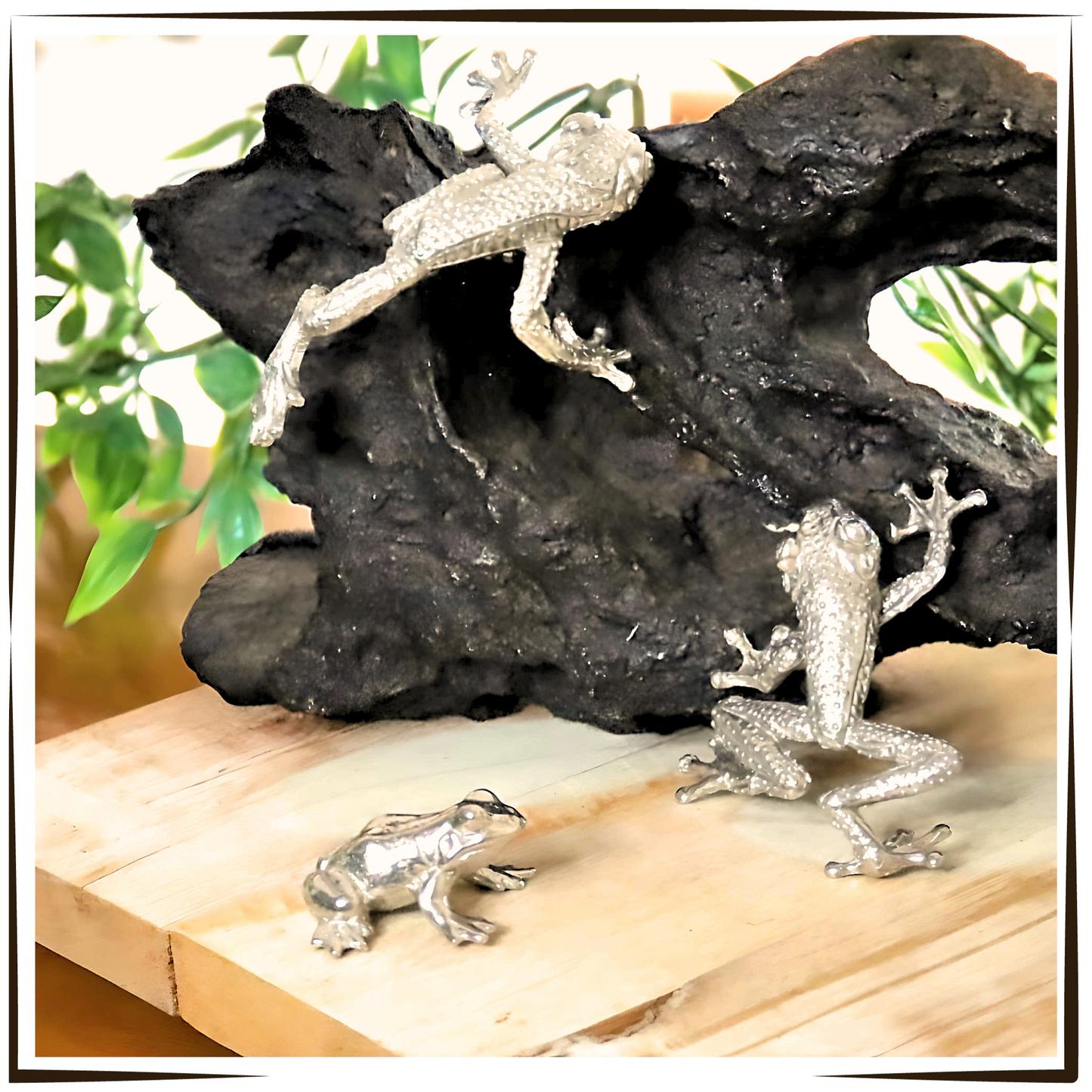 Pewter - Adorable Tree Frog Trio