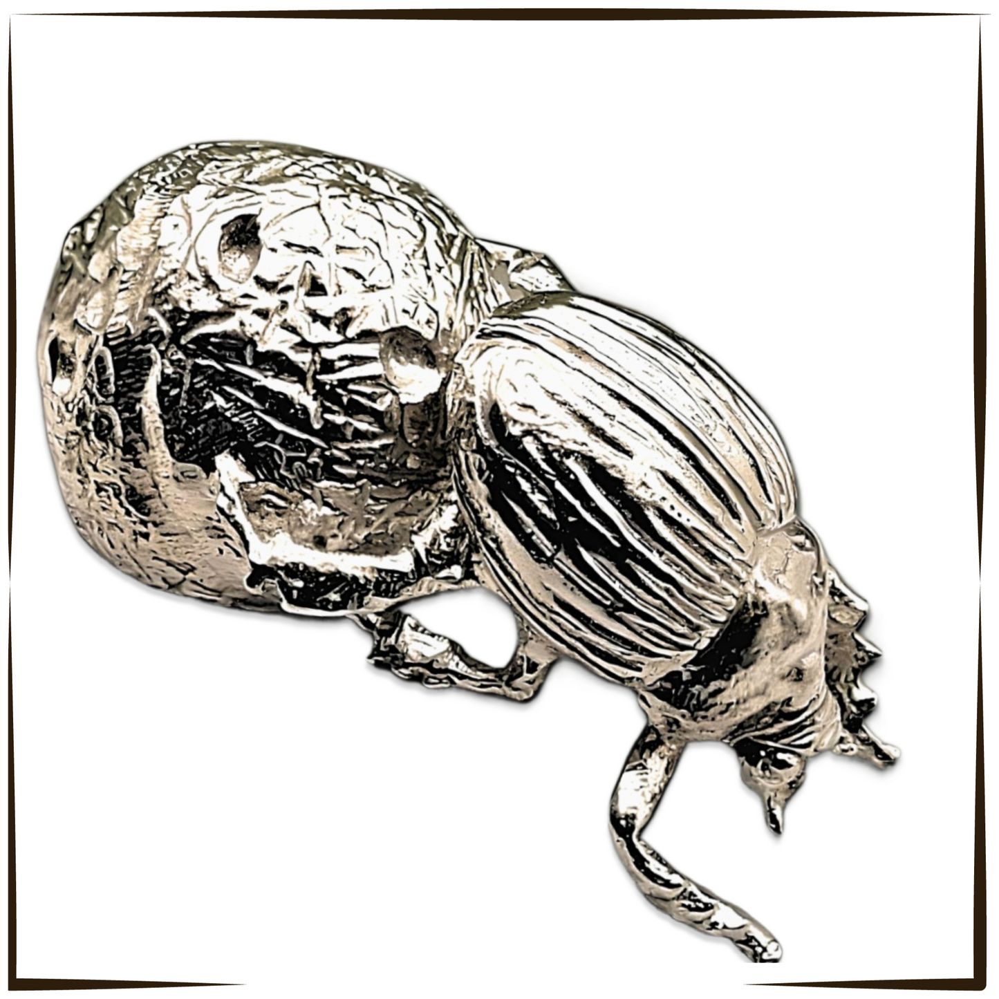 African Pewter - Dung Beetle Tumblebug