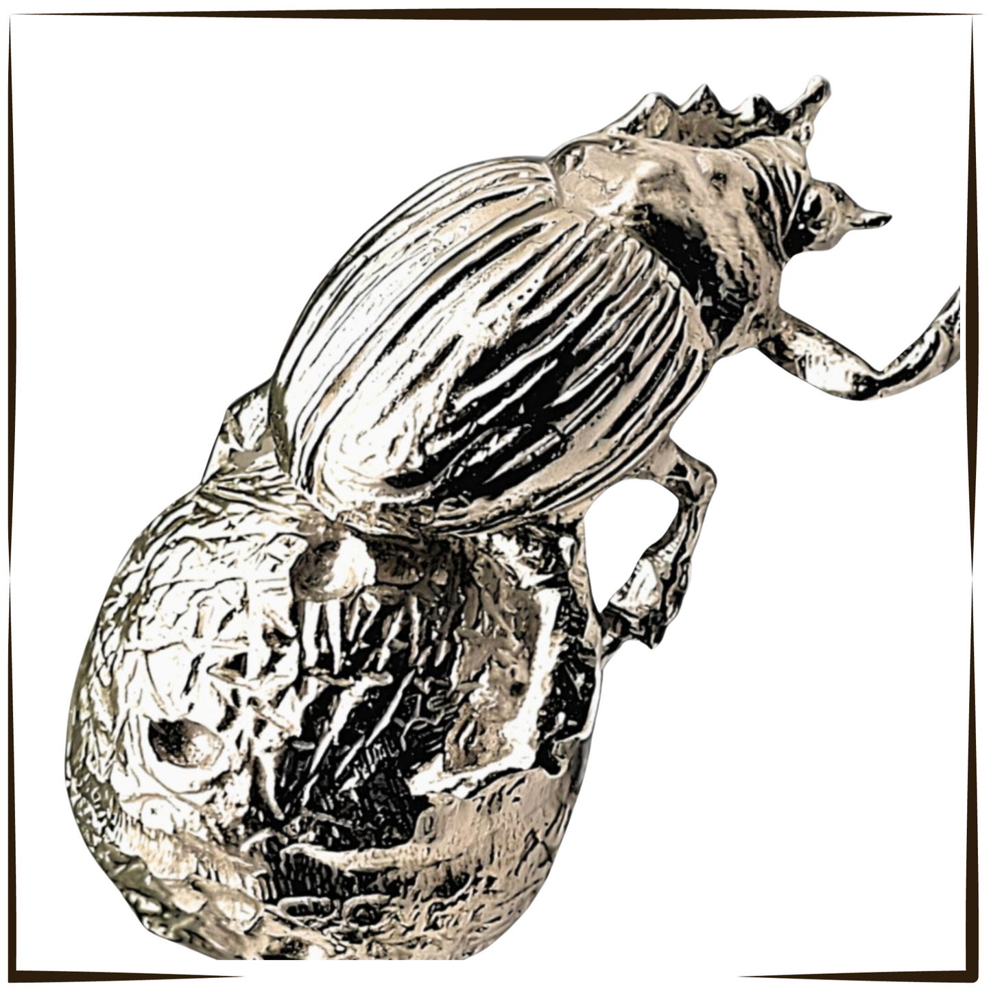African Pewter - Dung Beetle Tumblebug