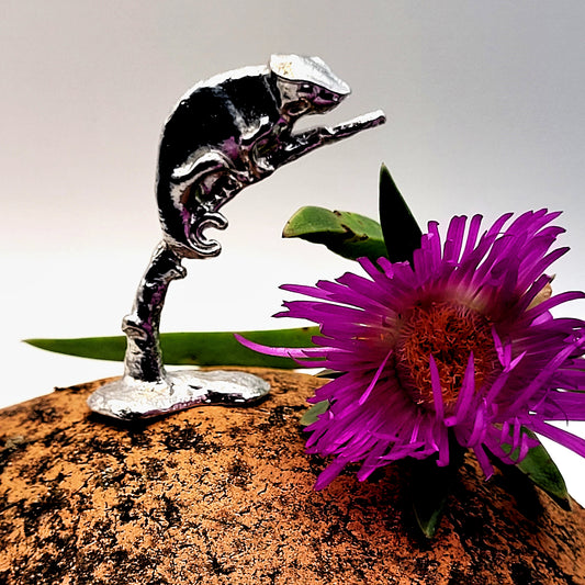 Pewter - Fascinating Baby-Chameleon Rango