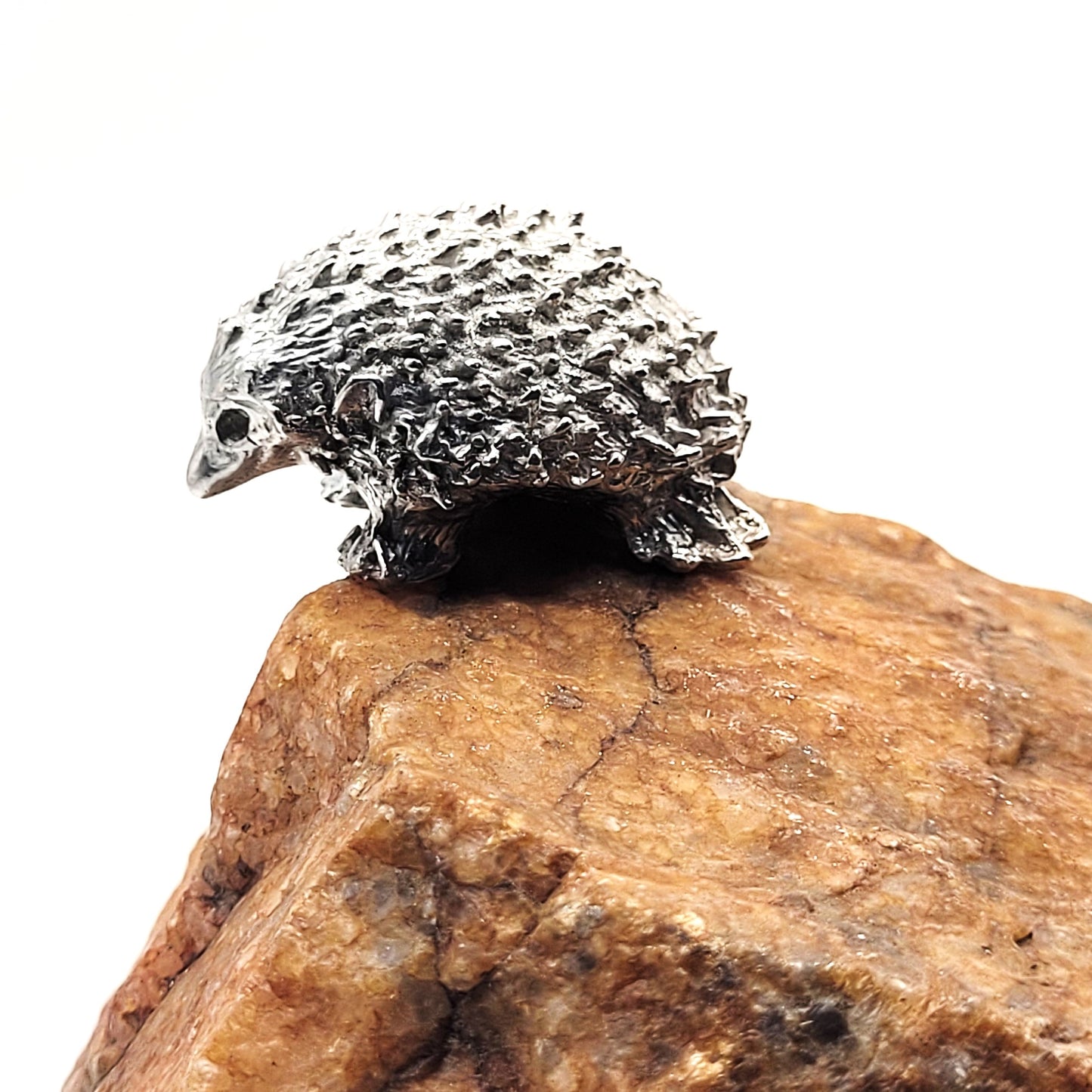 Pewter - Wacky Hedgehog - Bisquit