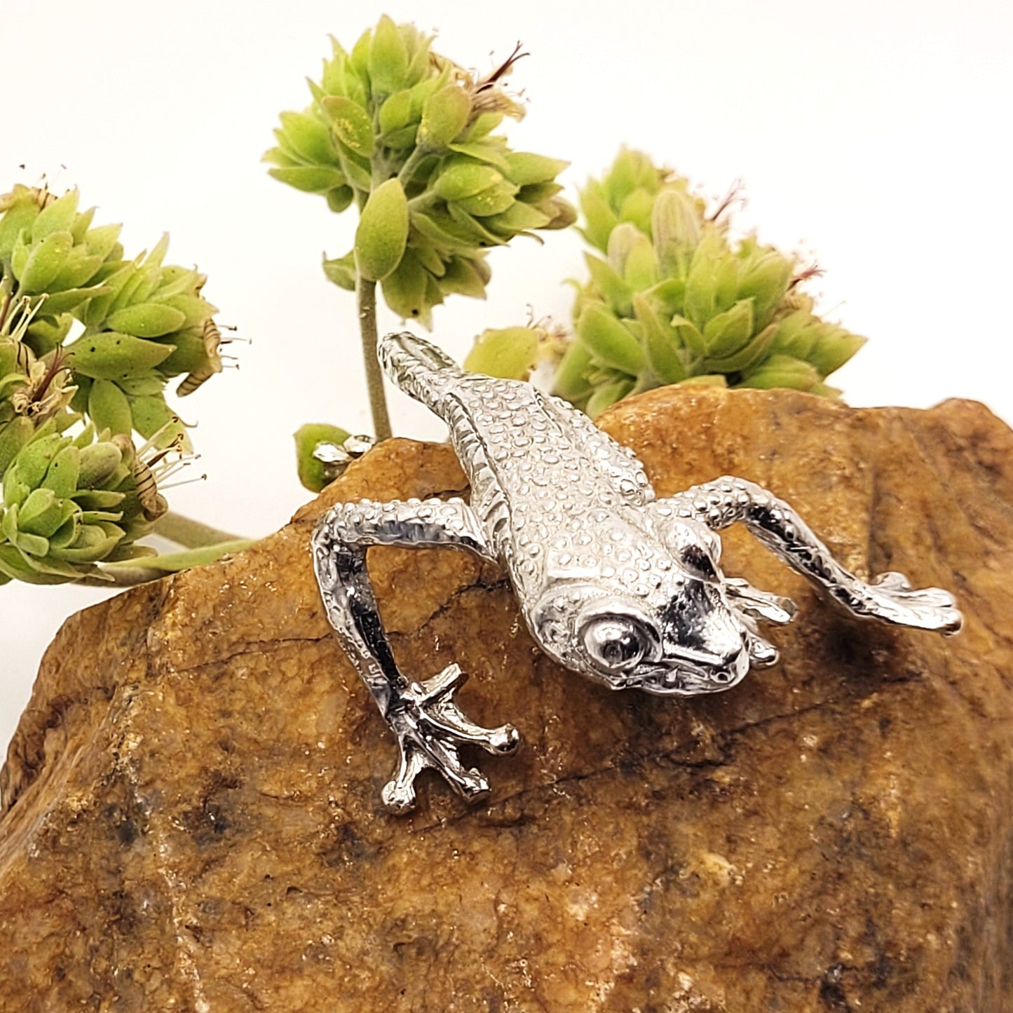 Pewter - The Wacky Tree Frog - Floyd