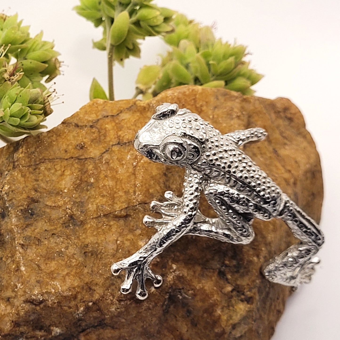 Pewter - The Wacky Tree Frog - Floyd