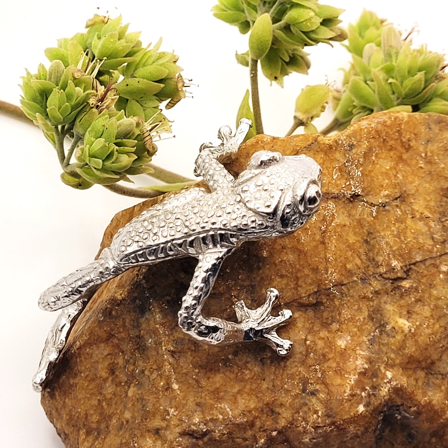 Pewter - The Wacky Tree Frog - Floyd