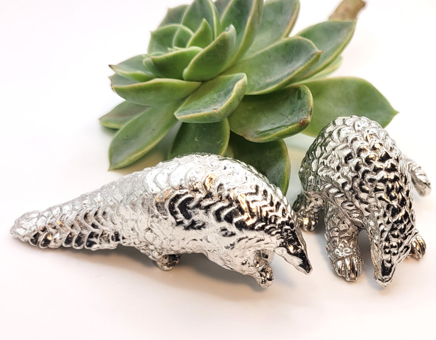 Pewter - Unique Pangolin Pair - Peta and Mishwa
