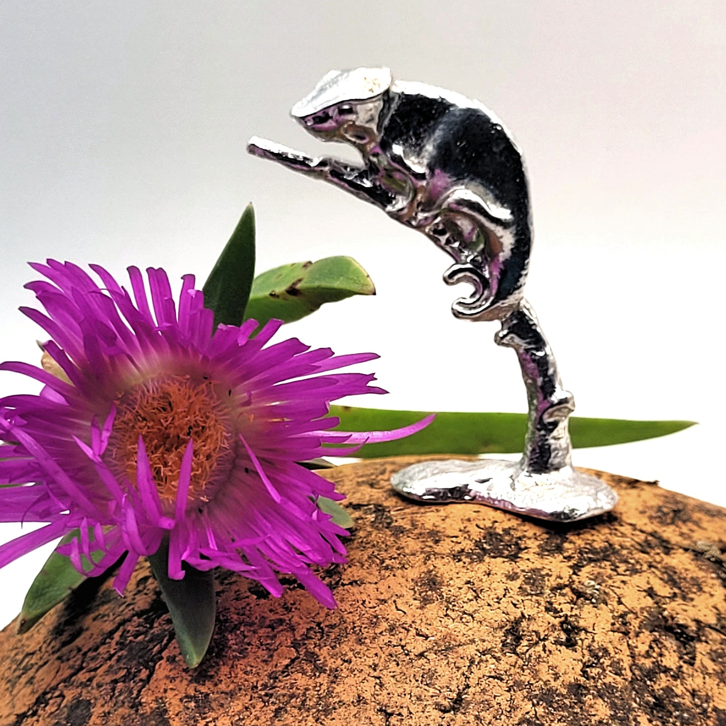 Pewter - Fascinating Baby-Chameleon Rango
