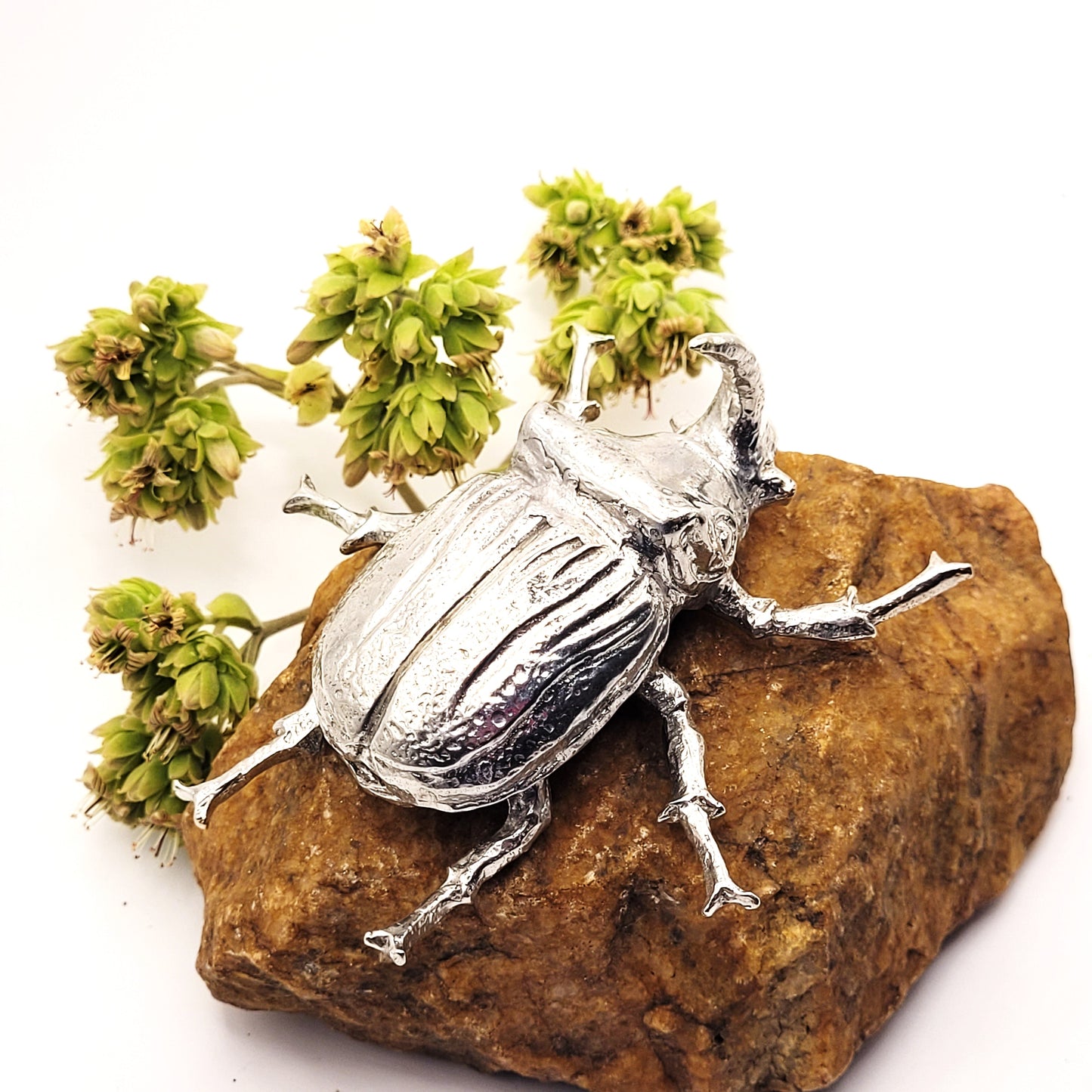 Pewter - Striking Rhino Beetle - Hercules (One Of The Small Five)