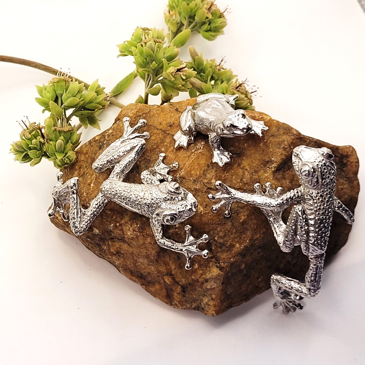 Pewter - Adorable Tree Frog Trio