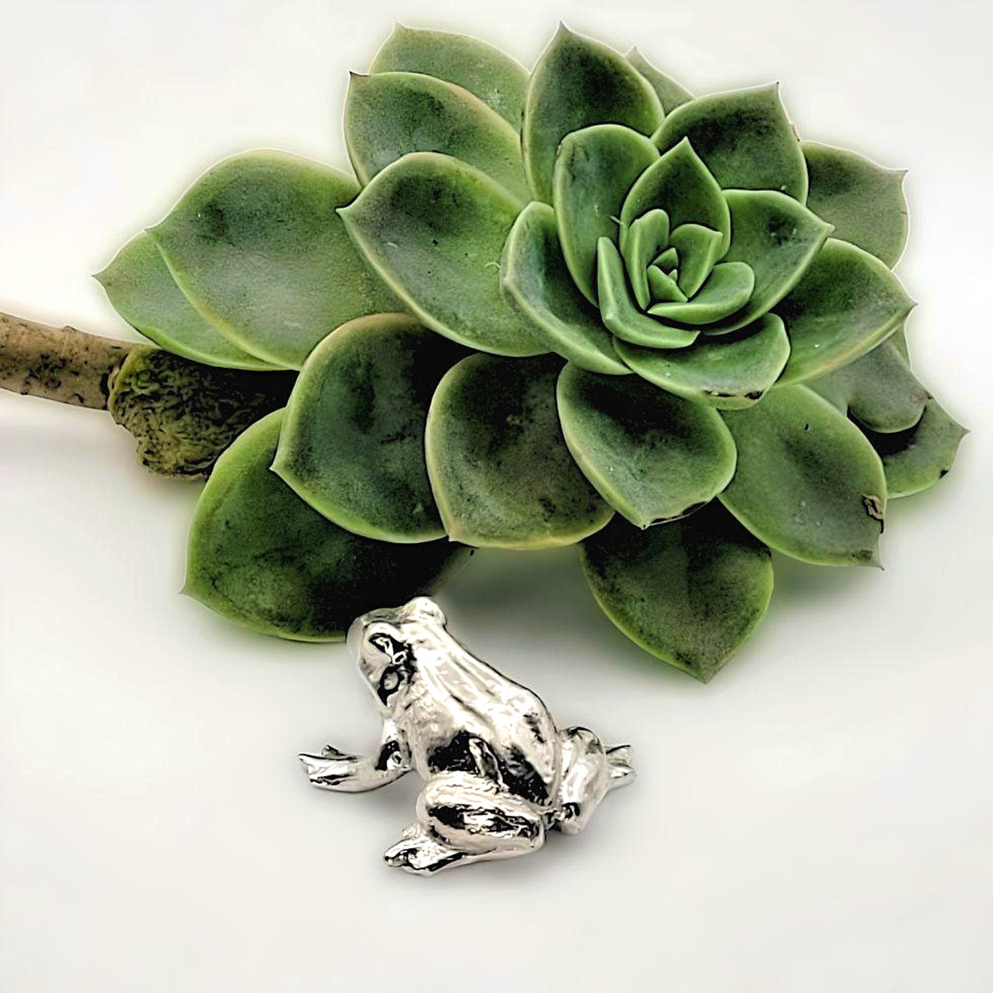 Pewter - Cute Little Fat Frog Plops