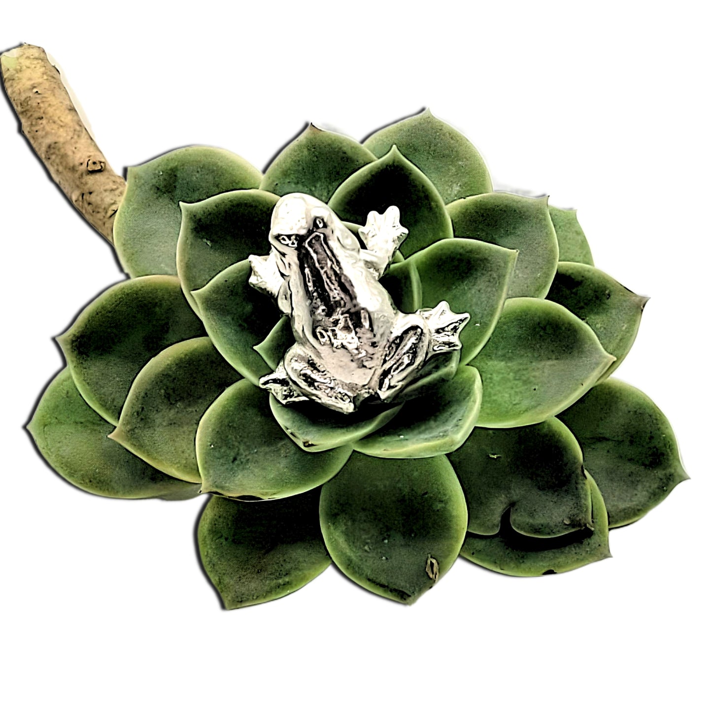 Pewter - Cheeky Cheese Mouse Pips and Little Fat Frog Plops