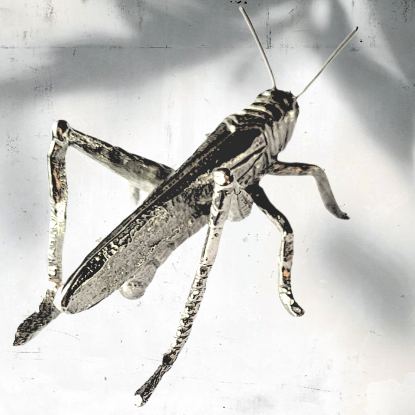 Pewter - Grasshopper