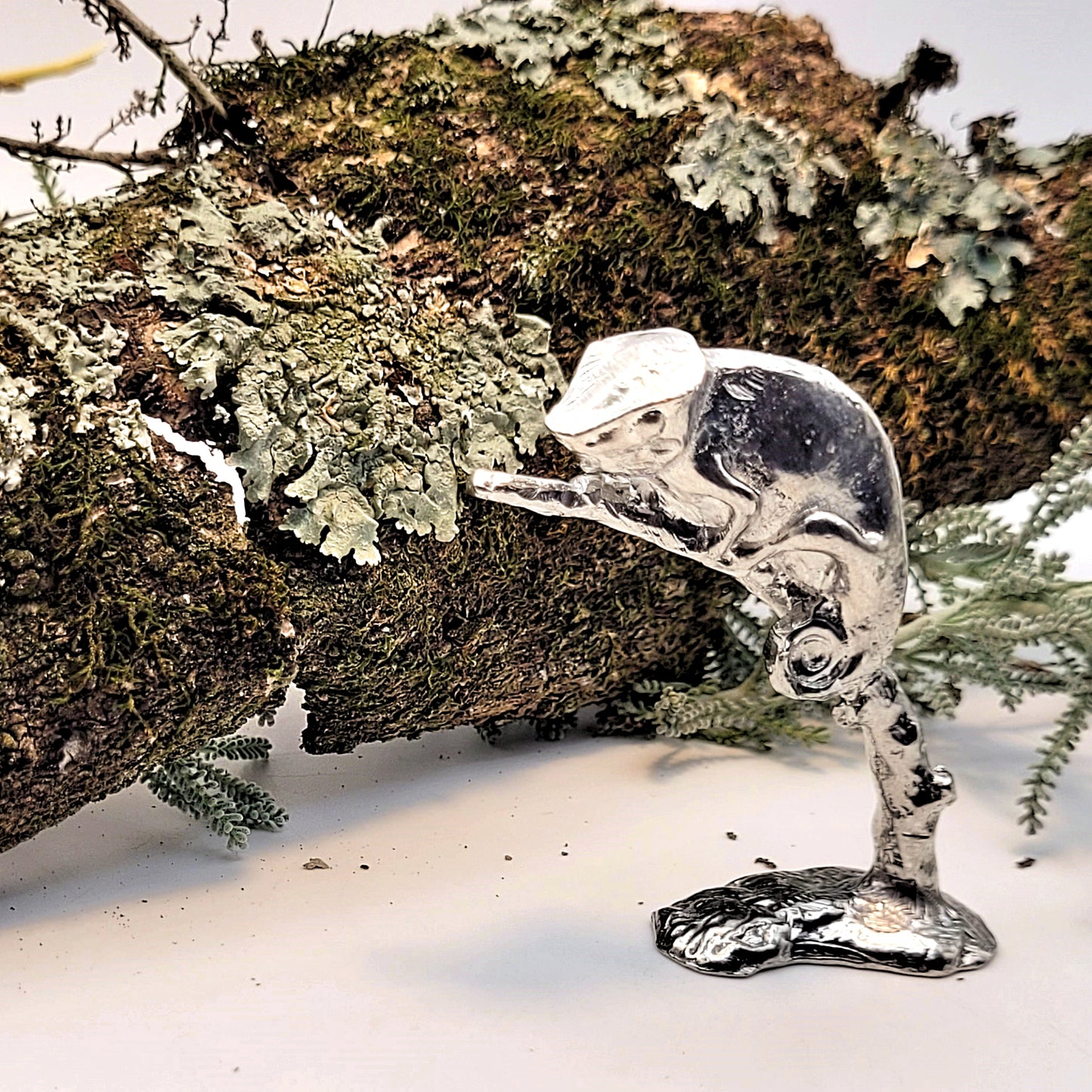 Pewter - Fascinating Baby-Chameleon Rango