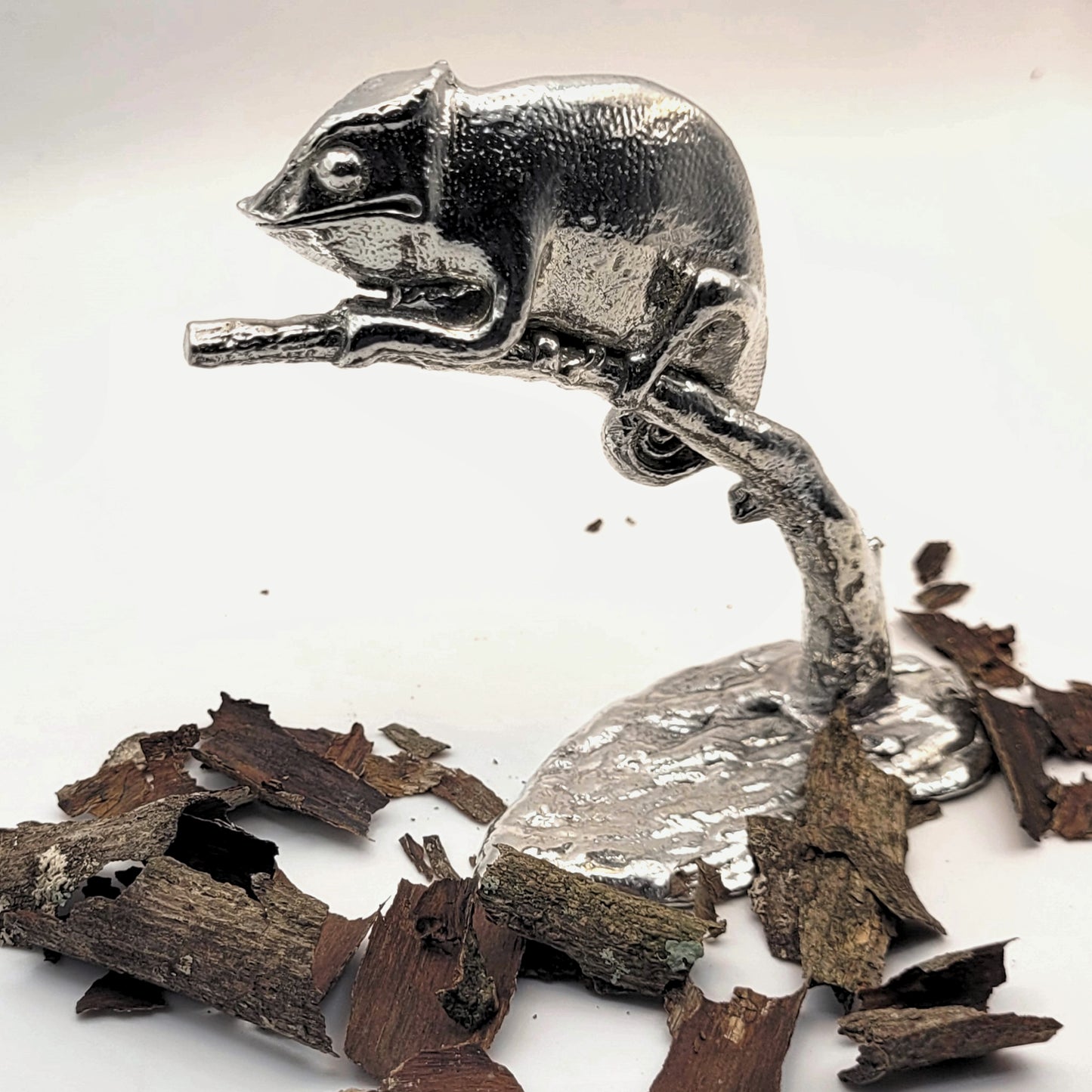 Pewter - Fascinating Baby-Chameleon Rango