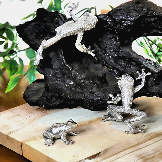 Pewter - Adorable Tree Frog Trio