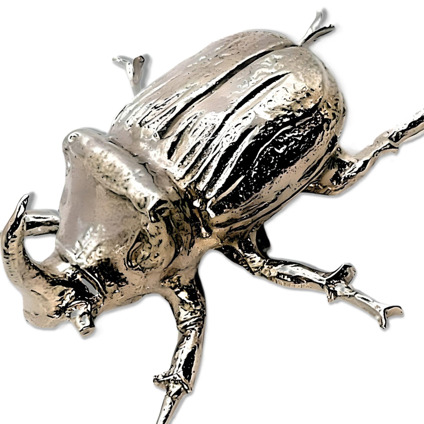 Pewter - Striking Rhino Beetle - Hercules (One Of The Small Five)
