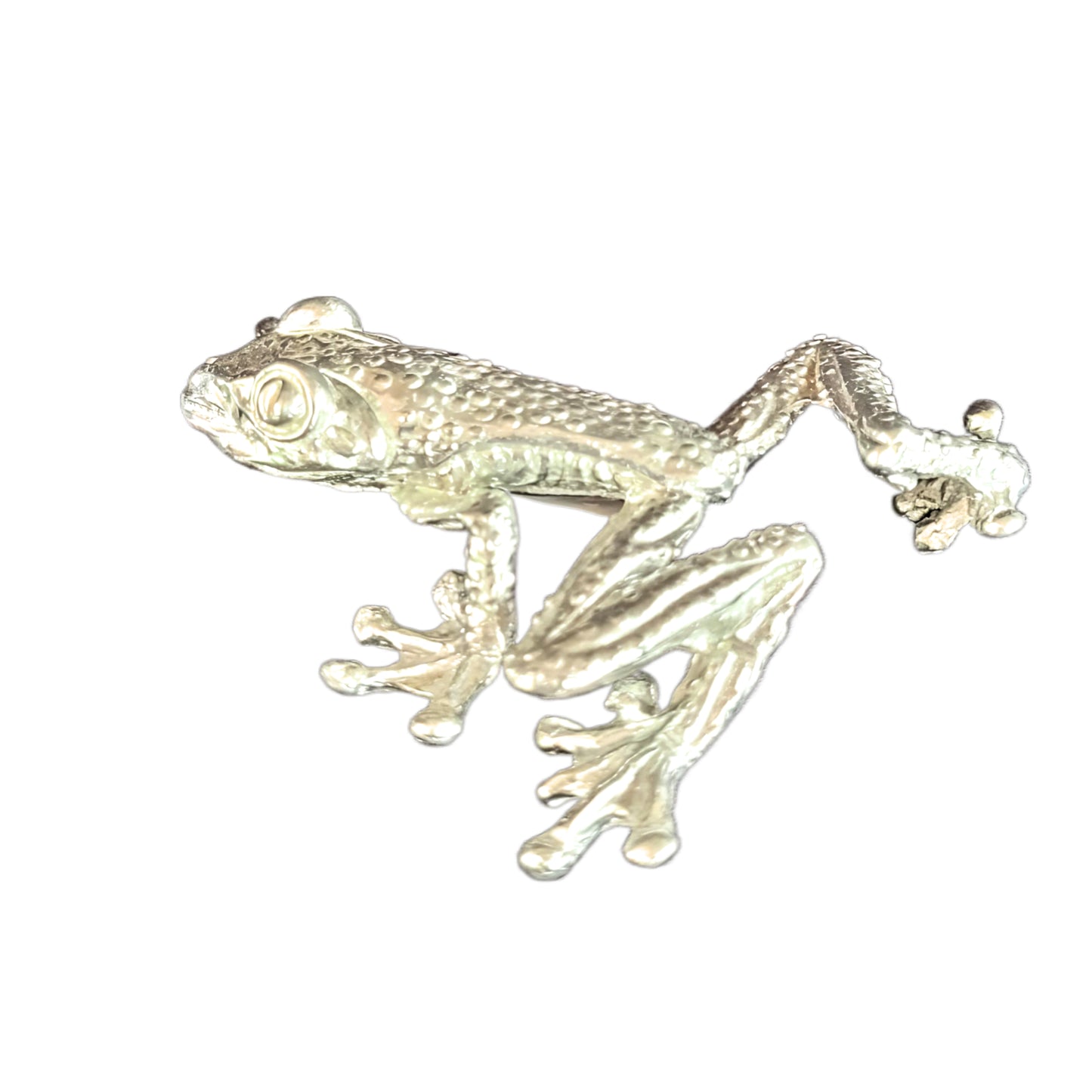 Pewter - The Daring Tree Frog - Dash