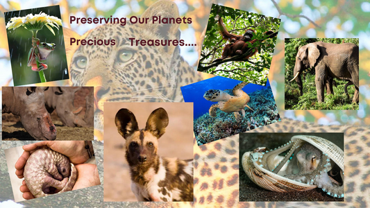 Preserving Our Planet's Precious Treasures