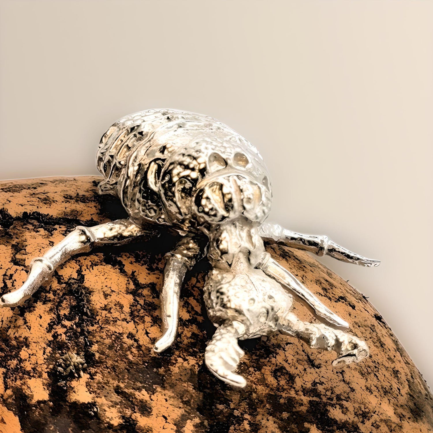 Africa's Little Five