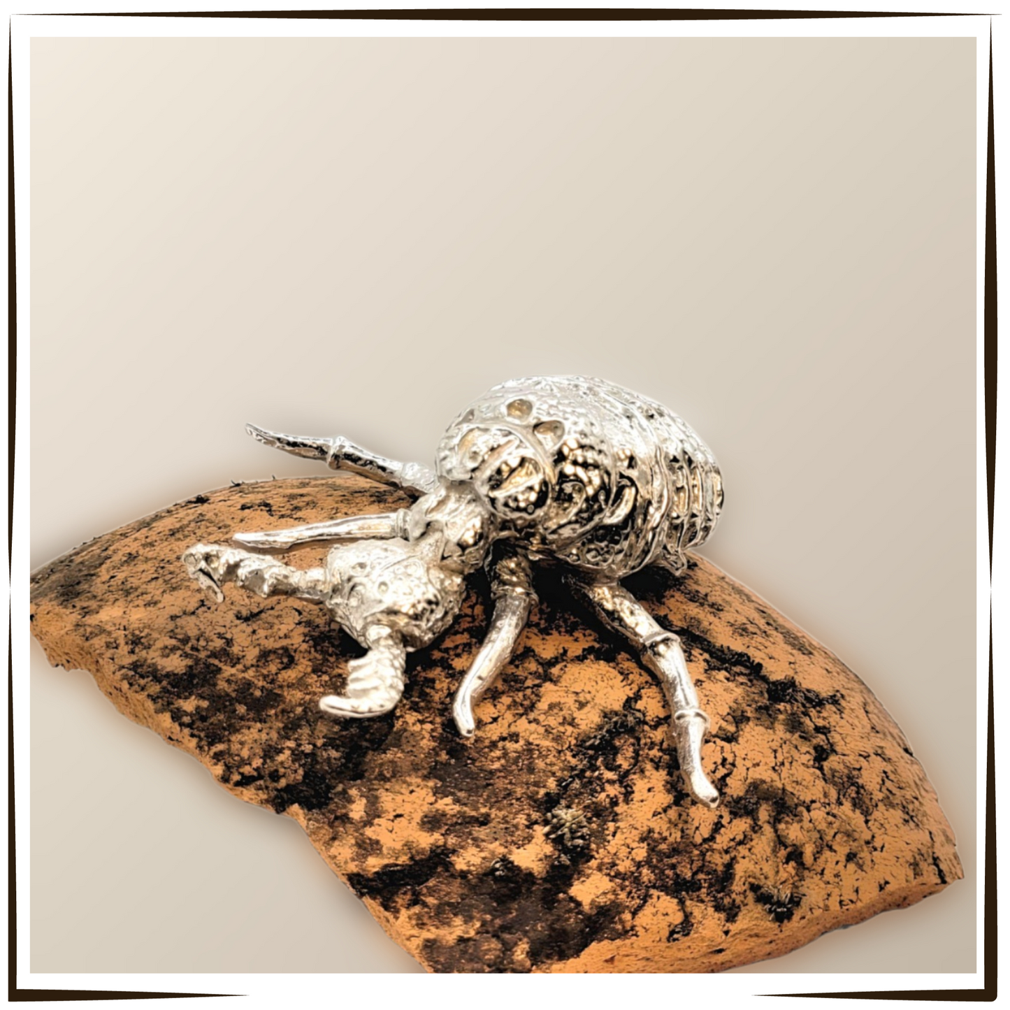 African Pewter - Antlion Doodlebug