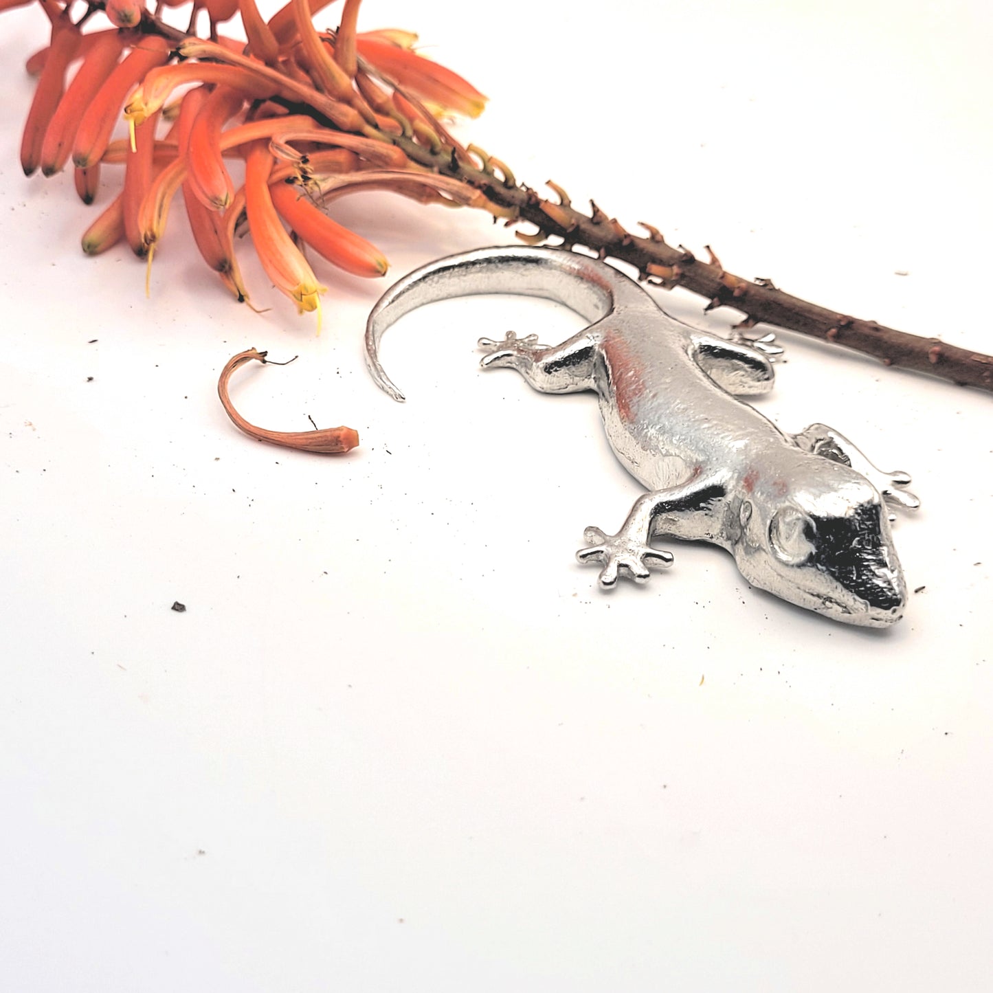 Pewter - Amazing Gecko - Bella