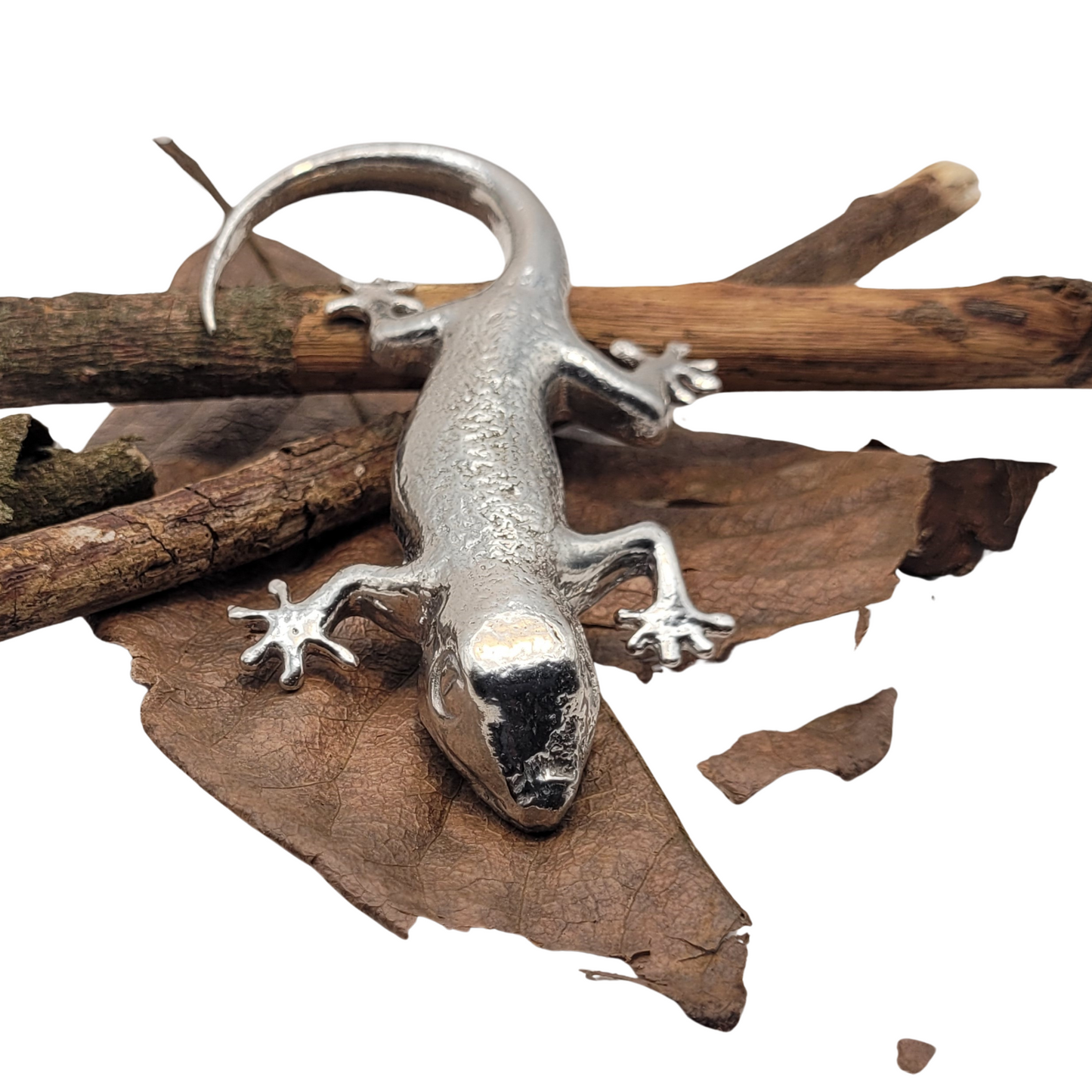 Pewter - Amazing Gecko - Bella