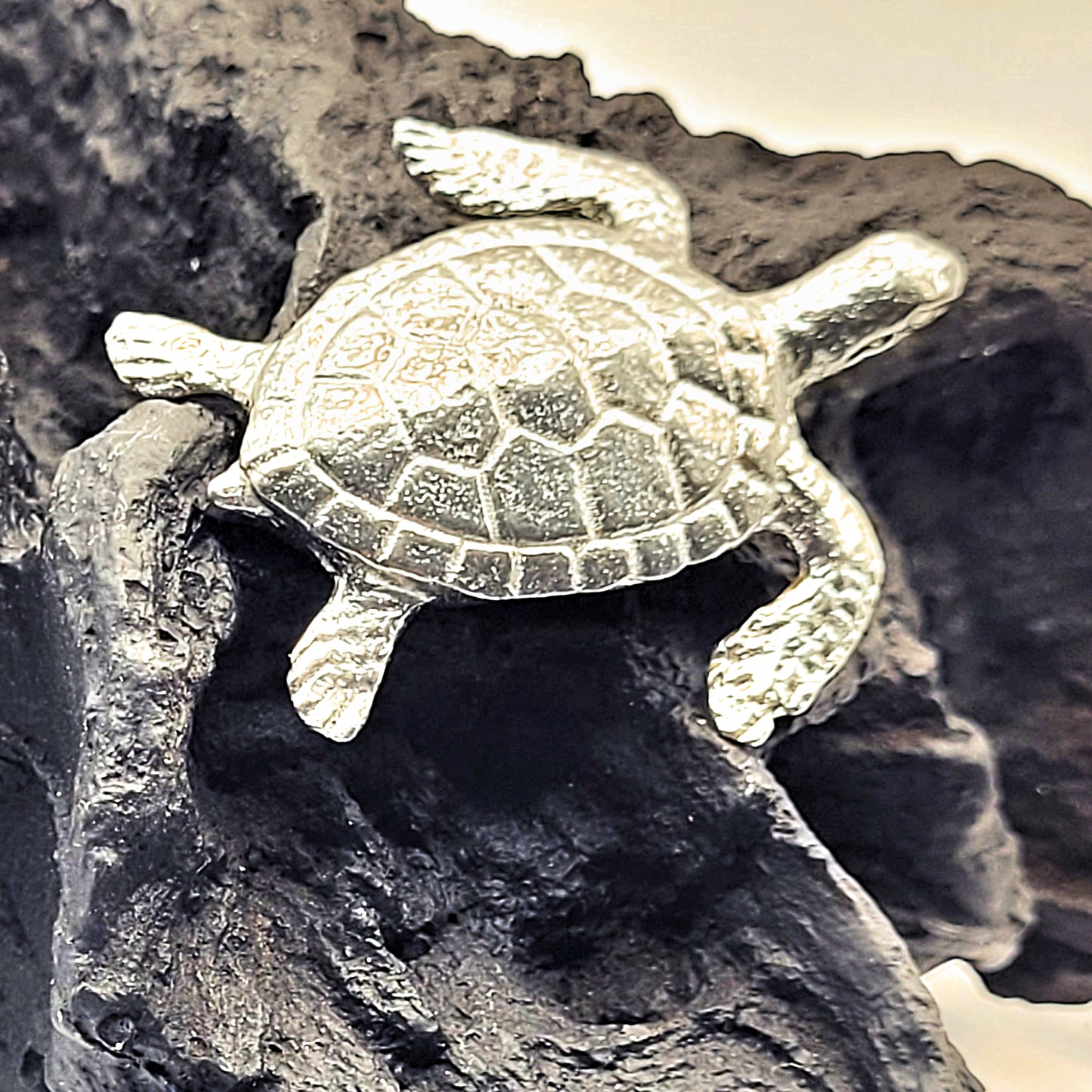 Pewter - Brave Hawksbill Sea Turtle - Amber