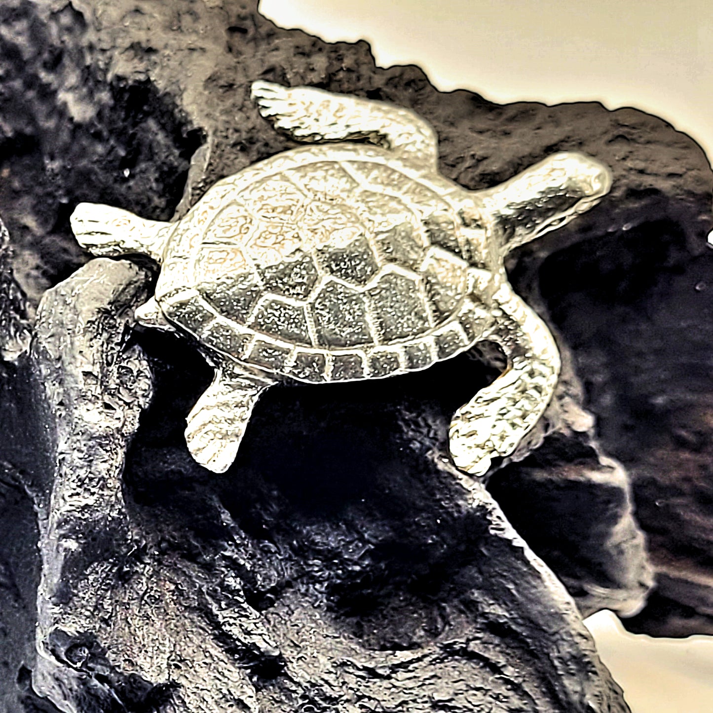 Pewter - Brave Hawksbill Sea Turtle - Amber