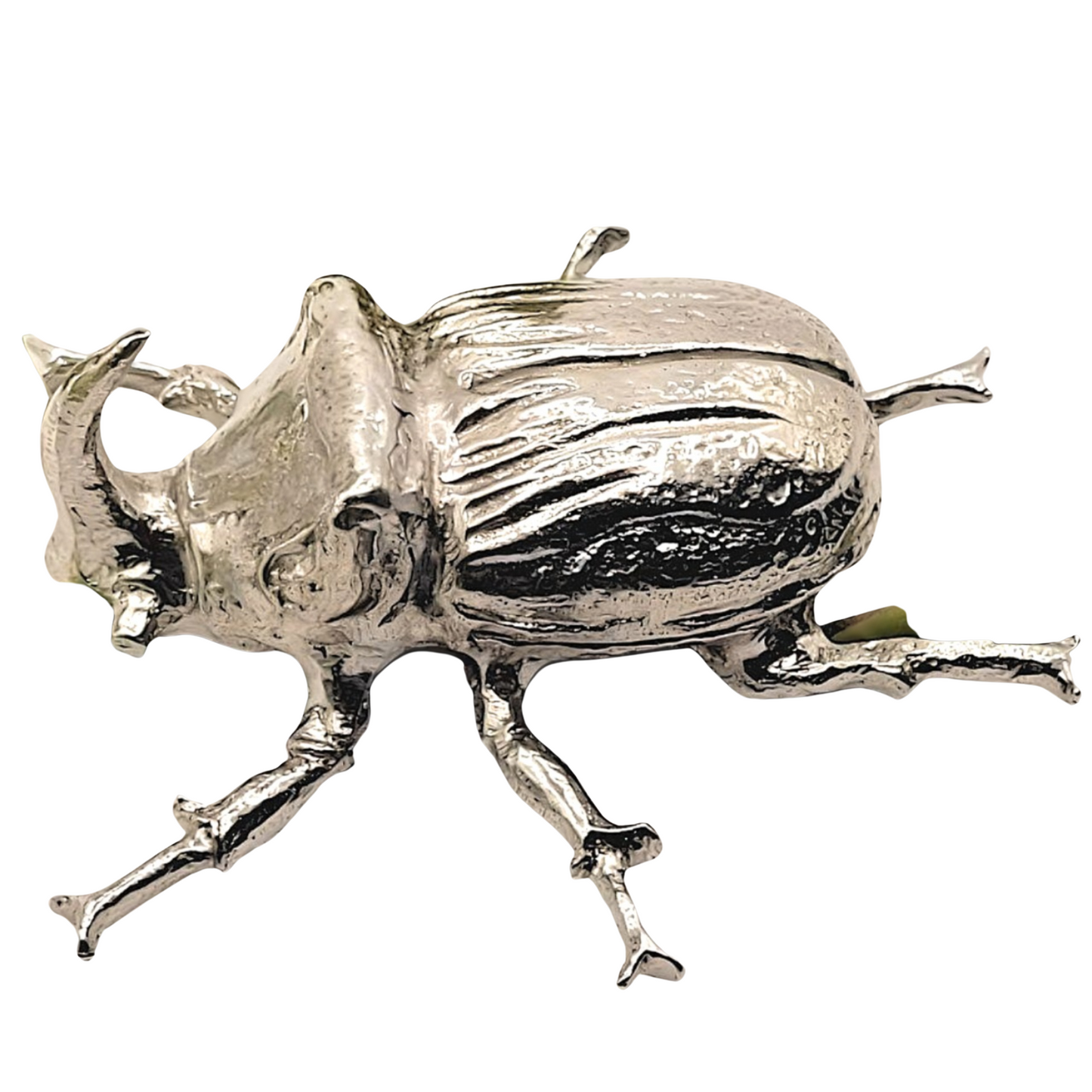 Pewter - Striking Rhino Beetle -  Hercules (One Of The Small Five)